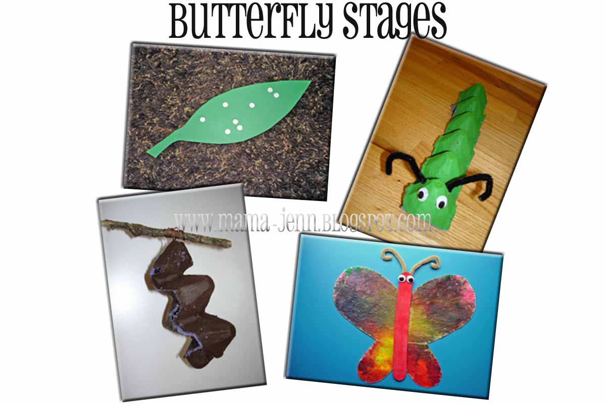 butterfly_stages