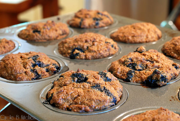 Blueberry Bran Muffins2